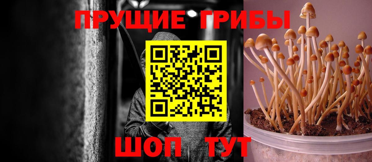 Галлюциногенные грибы мицелий  Вход с VPN  Азнакаево 